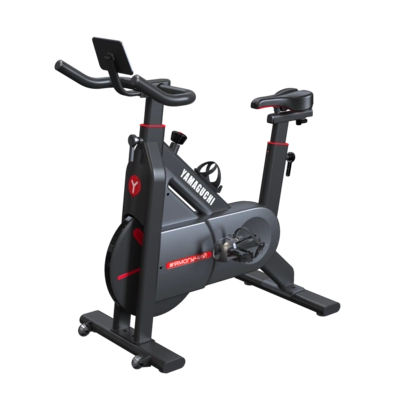 Fitness Bike